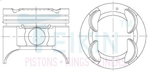 TEIKIN 42206050 Поршень 1шт