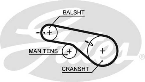 GATES 5570XS Ремень ГРМ