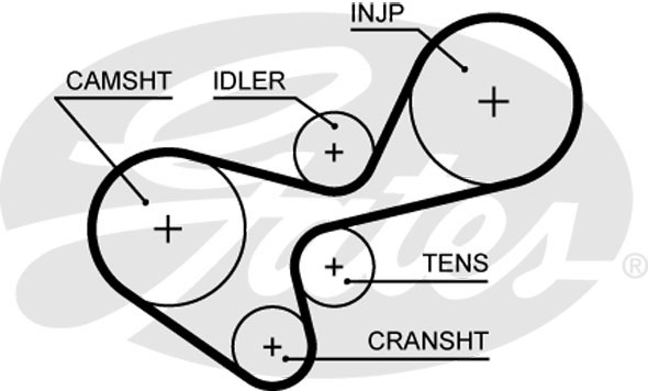 GATES 5639XS Ремень ГРМ