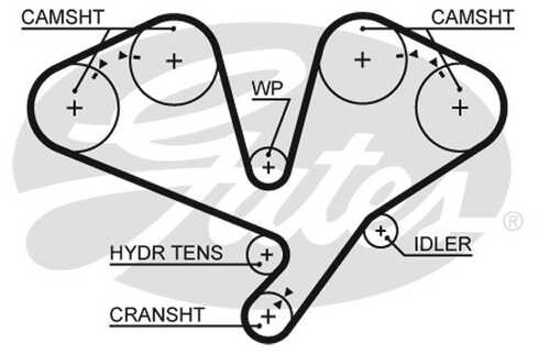 GATES 5659XS Ремень ГРМ