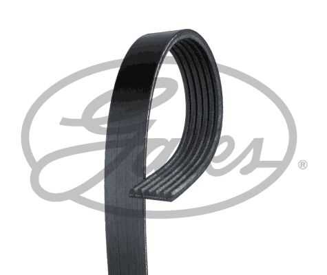 GATES 6PK2448 Ремень поликлиновый! MB W124 3.0 89-92/3.2 96-98, Jeep Wrangler 4.0 91>