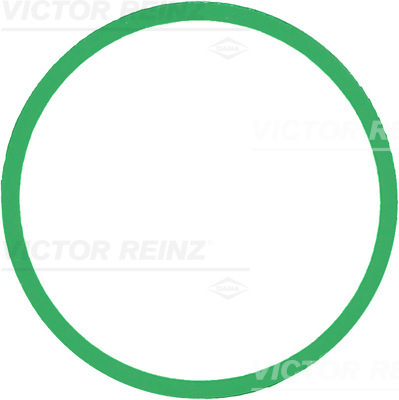 REINZ 71-39303-00 Прокладка, впускной коллектор