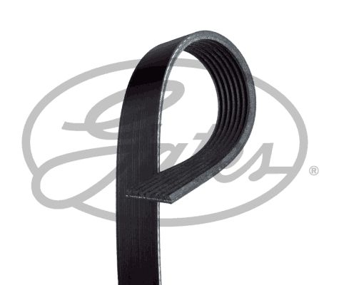 GATES 7PK1179SF V-Ribbed Belts