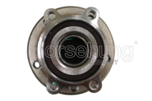 BORSEHUNG B15625 Wheel Bearing Kit