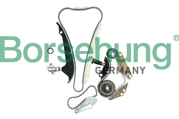 BORSEHUNG B19209 Рем. комплект цепи ГРМ! Audi A3/A4/A6, VW Golf/Passat/Touran 2.0TFSi 02>