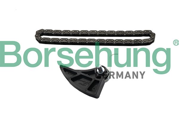 BORSEHUNG B19287 Timing Chain Kit