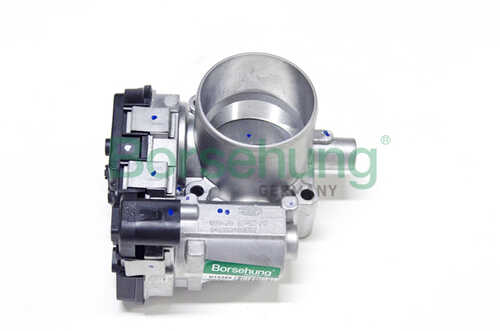 BORSEHUNG B19289 Throttle body