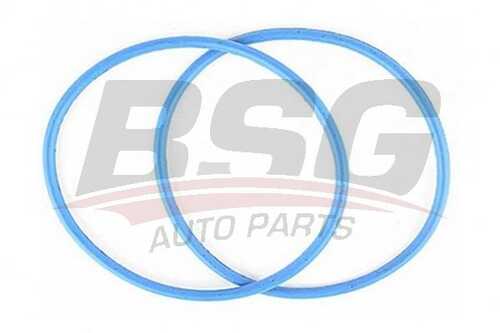 BSG BSG30116083 Уплотнительное кольцо термостата! Ford Transit 2.5D 93-00