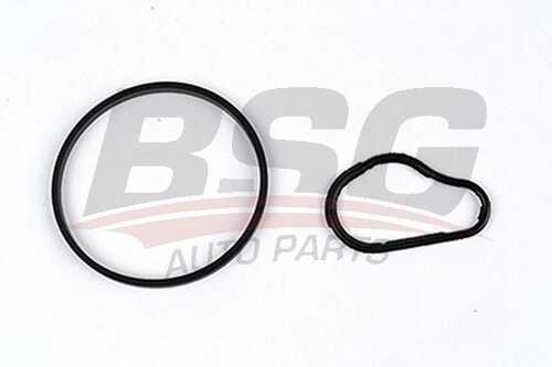 BSG BSG30235006 Уплотнительные кольца вакуумного насоса тормозов (комплект) PSA 1.6 HDi