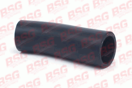 BSG BSG30720077 Шланг, FORD, BASBUG -