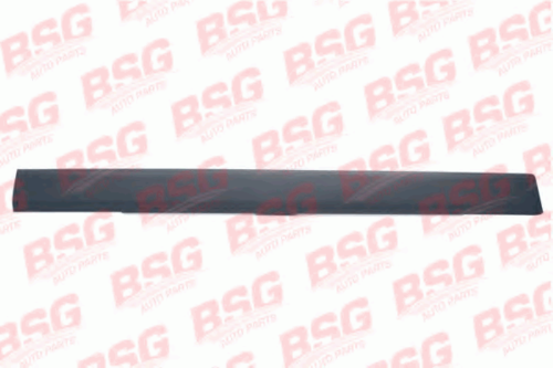 BSG BSG 30-924-037 Облицовка / защитная накладка, дверь
