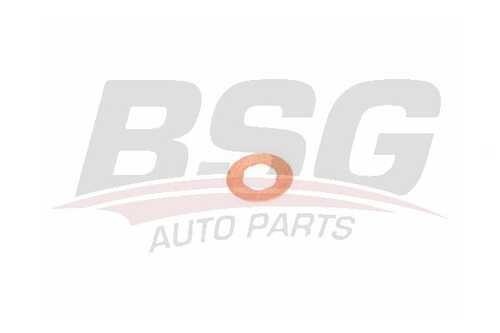 BSG BSG30995048 Кольцо форсунки уплотнит.! Citroen,Peugeot,Ford Transit V348/V362/V363 2.2TDCI 11>