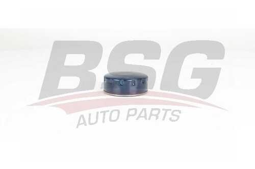 BSG BSG 75-140-005 Фильтр масляный! Renault Clio/Megane/Laguna 1.4i-1.9DTi 95>