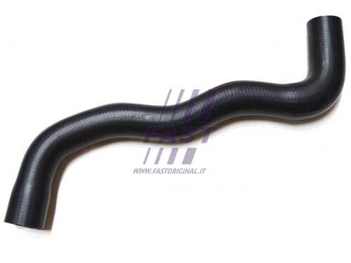 FAST FT61060 Radiator Hose