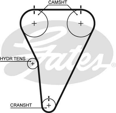 GATES T215 Ремень ГРМ