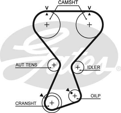 GATES T313 Ремень ГРМ